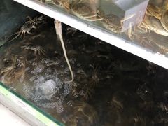 -阳澄湖大闸蟹·琼灵阁牌品牌连锁(吴中总店)