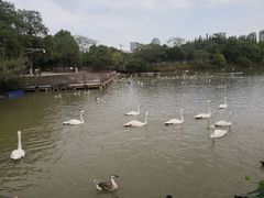 -艾溪湖湿地公园