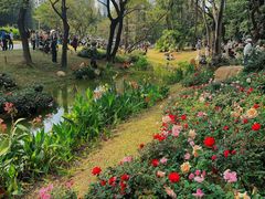 -人民公园(罗湖区)