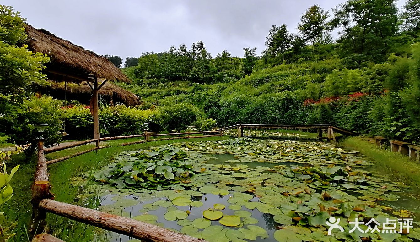 采摘 农家乐 南江花千谷农场