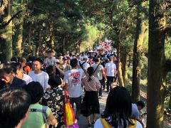 -南岳衡山风景名胜区