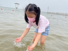 -碧海金沙