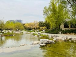 -大望京儿童游乐场