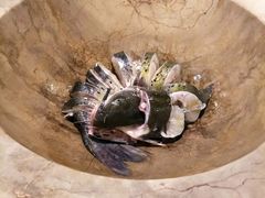 -云中鱼蒸汽石锅鱼(川沙百联店)