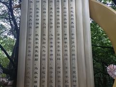 -杭州半山国家森林公园