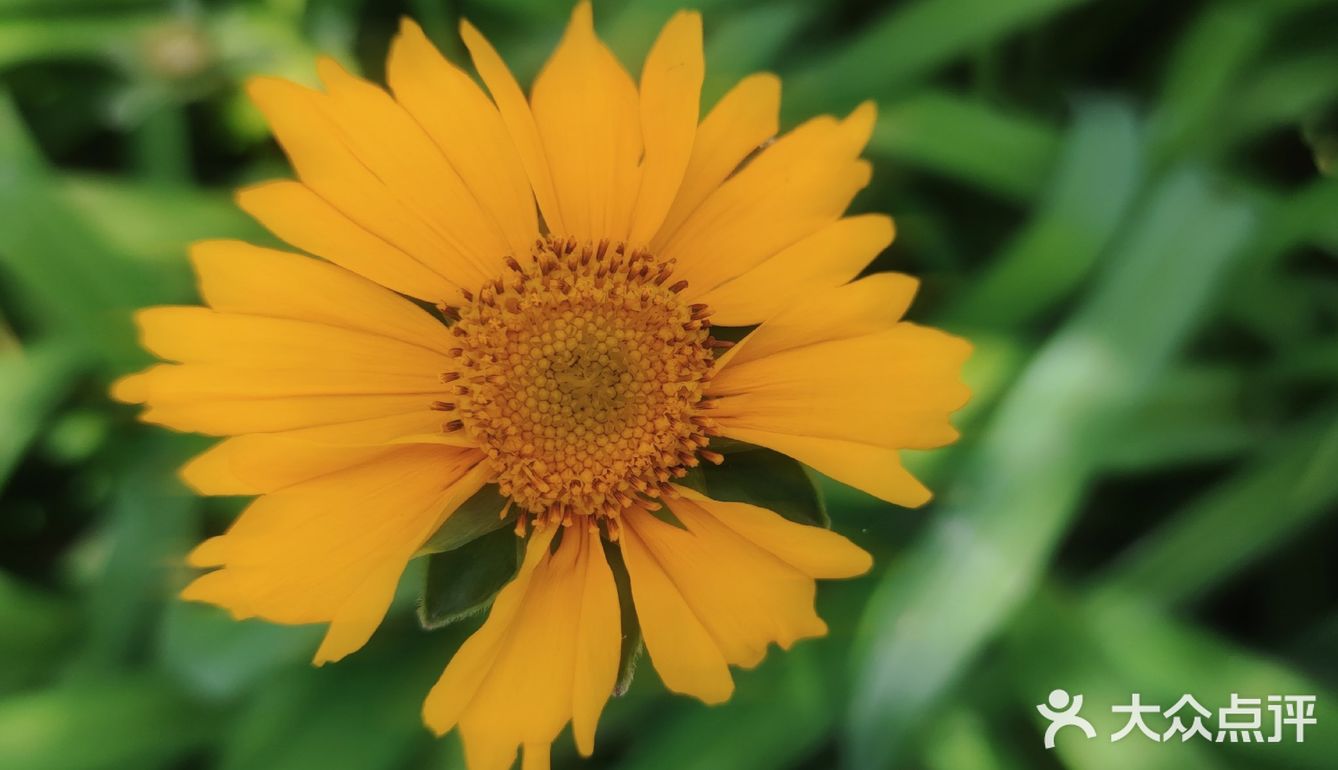 五月的花&初夏的风