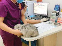 -创凡宠物医院·骨专科  猫科中心(西乡分院)