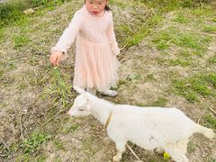 -小鱼草莓采摘园农家乐·小鱼餐厅