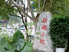 -后湖小院·乡野田园菜