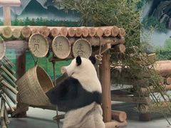 -柳州市动物园