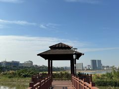 -立新湖公园