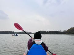 -上海海湾国家森林公园