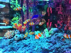 -沈阳海洋探索中心