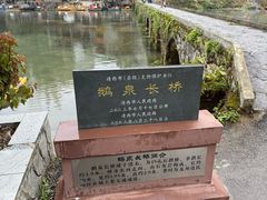 -靖西鹅泉风景区