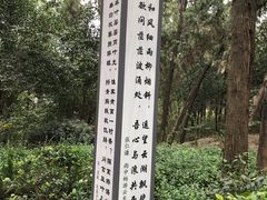 -云龙山