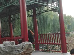 -莲池书院博物馆