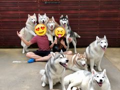 -TrueLove @ Neverland (Husky Cafe)