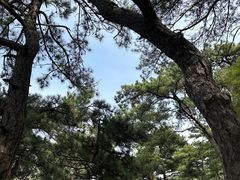 -天津盘山风景名胜区