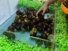 -东吴水韵(吴中店)