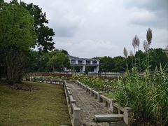 -长广溪湿地公园