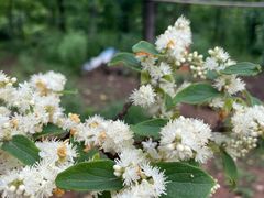 -世纪联华(安徽六安店)