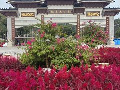 -红花山公园