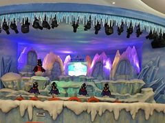 -帝企鹅自助餐厅•儿童岛•真企鹅(长隆企鹅酒店)