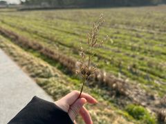 -良渚古城遗址公园