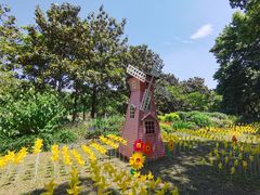 -上海共青森林公园