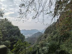 -大慈岩风景区