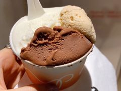 -Dip in Gelato(富民路店)