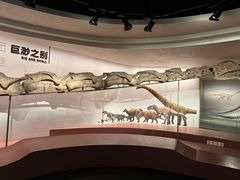 -自贡恐龙博物馆