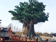 -东台西溪天仙缘景区