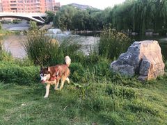 -山东大学(兴隆山校区)