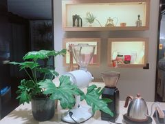 -Willing·Coffee&Brunch&Dinner(万达店)