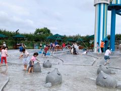 -季高兔窝窝亲子园(上海薰衣草公园店)