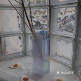 细胞  躺躺躺  我太爱躺着了