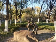 -昆山城市生态森林公园