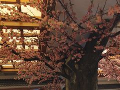 -鸥迪足道(安庆店)
