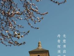 -大慈恩寺(大雁塔)