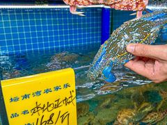 -坛南湾农家乐·海鲜楼·大排档(平潭坛南湾店)
