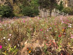 -东天目山风景区