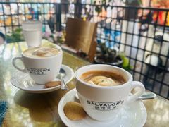 -萨尔瓦多Salvador's