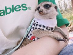-东郊湿地公园