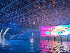-海合安青岛极地海洋公园