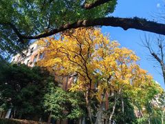 -浙江大学(玉泉校区)