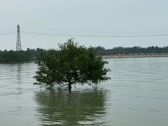 -宝安西湾红树林湿地公园
