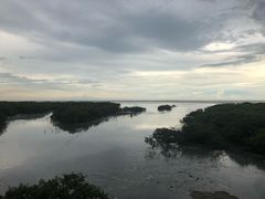 -北海金海湾红树林生态旅游区