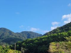 -东山码头
