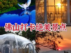 -南丹山森林王国